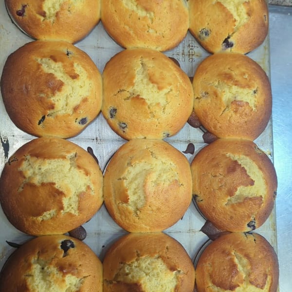 A close-up, overhead view of a tray of freshly baked golden-brown blueberry muffins.
